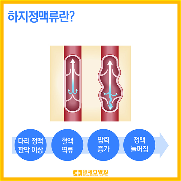20191218%2B%25ED%2595%2598%25EC%25A7%2580%25EC%25A0%2595%25EB%25A7%25A5%25EB%25A5%2598-02.jpg