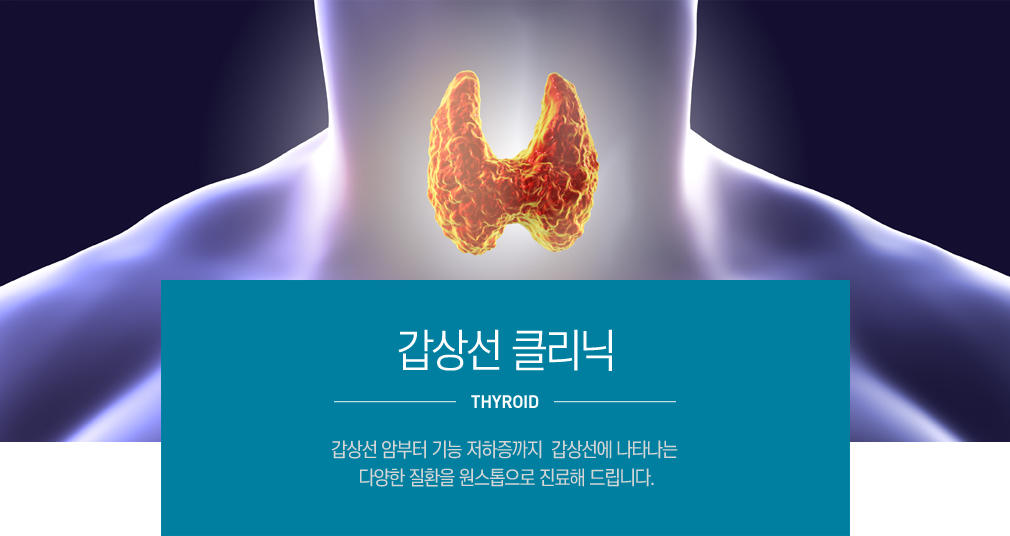 갑상선이란?