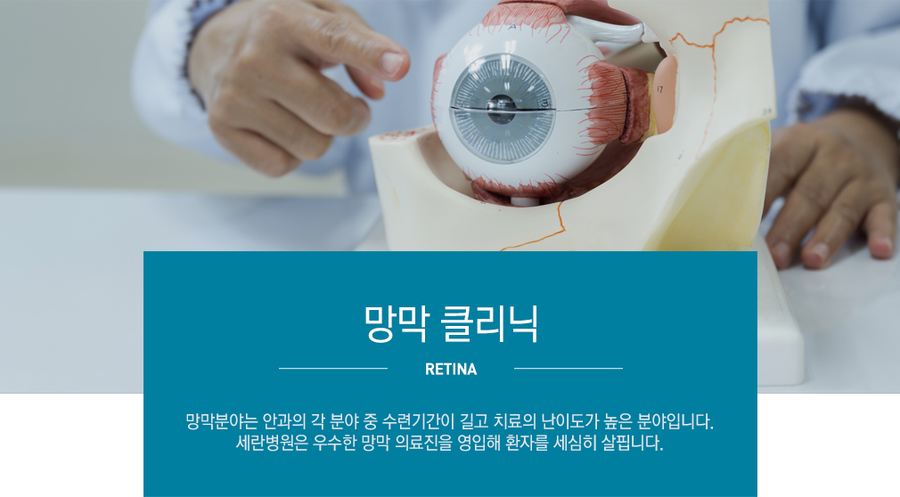 망막 클리닉